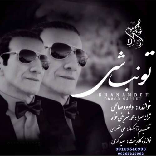 آهنگ داوود صالحي تو نباشي