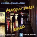 آهنگ مسعود زارعی نرو