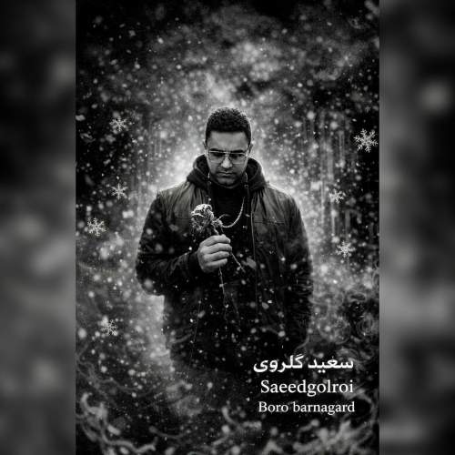 آهنگ سعید گلروی برو برنگرد