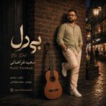 آهنگ سعید فراهانی بی دل